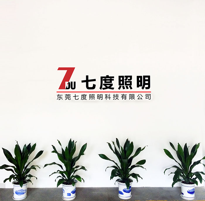 东莞草莓视频色板照明前台LOGO